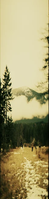 Free aesthetic bookmark featuring yellow grass